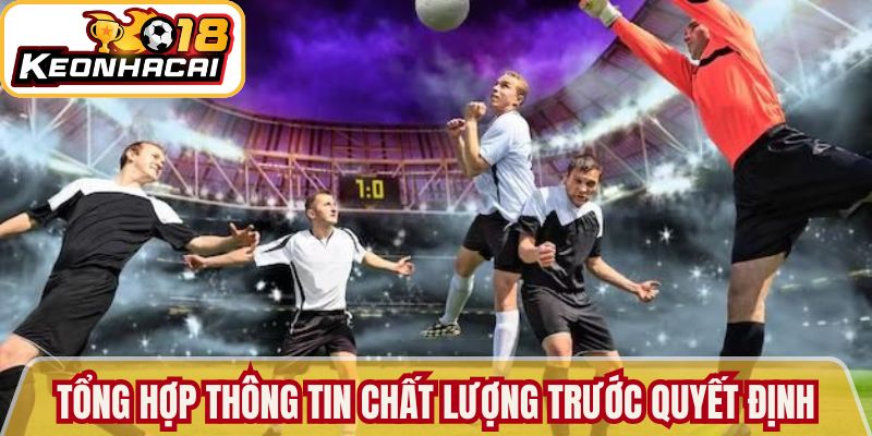Tổng hợp thông tin chất lượng trước mọi quyết định