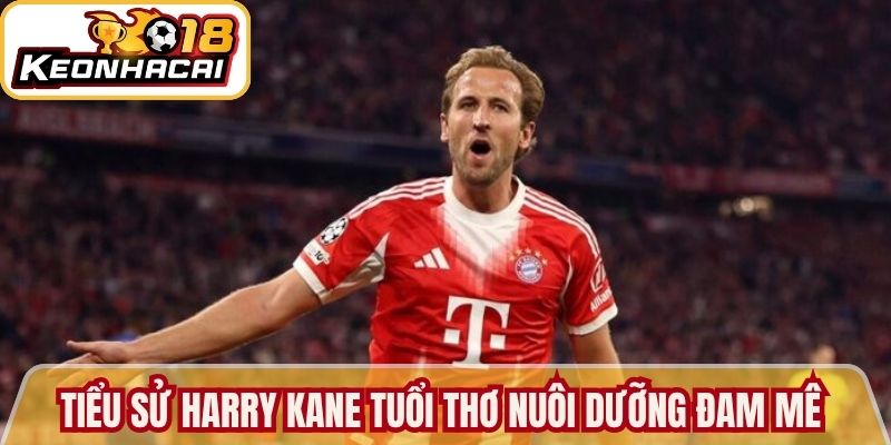 Tiểu Sử Harry Kane: Hành Trình Vươn Tầm Ngôi Sao Bóng Đá 1 Tiểu sử Harry Kane tuổi thơ nuôi dưỡng đam mê bóng đá